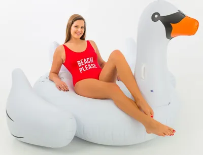 Produktbild von Big Swan 190x180x115cm - Didak Pool
