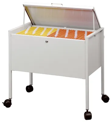 Obrázok produktu pre DURABLE 3098-10 Závesný vozík na spisy DURABLE "Economy 80 Top", sivý