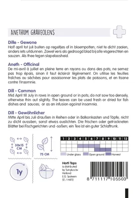 Produktbild von Dill | Dillsamen von Hortitops