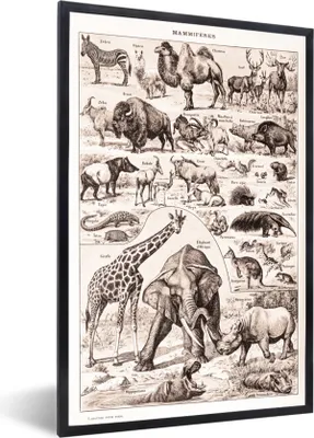 Produktbild von MuchoWow® Gerahmtes Poster Tiere - Elefant - Schwarz - Weiß 60x90 cm - Poster mit Schwarzem Bilderrahmen Wandposter Rahmen Foto Bilder - Kunst