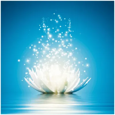 Produktbild von Wallario Premium Glasbild, freischwebende Optik, kräftige Farben, Größe 30 x 30 cm Motiv Lotosblüte auf Wasser