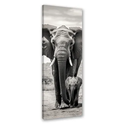 Produktbild von Leinwandbild Schwarz-weißer Elefant 40x120 Feeby Grau bild für die wand bereit zum aufhängen