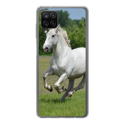 Produktbild von MuchoWow® Handyhülle Schutzhülle Hülle für Samsung Galaxy A12 Pferde - Natur - Weiß Silikon Softcase Handy Hülle - Bild