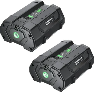 Immagine prodotto di Batteria di ricambio, capacità 6000 mAh, tensione 56 V, 2 pezzi da 6000 mAh