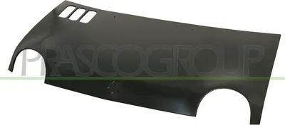 Produktbild von PRASCO RN0253100 Motorhaube für RENAULT TWINGO I (C06) TWINGO I Kasten (S06)