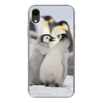 Produktbild von MuchoWow® Handyhülle Schutzhülle Hülle für iPhone XR Pinguine - Schnee - Tiere Silikon Softcase Handy Hülle - Schutzdeckel