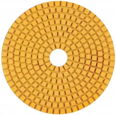 Image de Disque de polissage Distar 100mm P220 pour carrelage