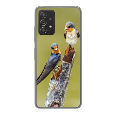 Produktbild von MuchoWow® Handyhülle Schutzhülle Hülle für Samsung galaxy a73 Vögel - Zweig - Porträt Silikon Softcase Handy Hülle - Handyhülle