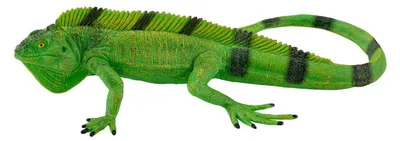 Image de Mojo Wildlife Leguaan - 381095