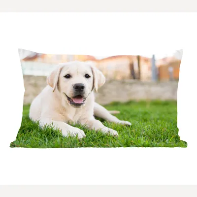 Produktbild von MuchoWow® Zierkissen Sofakissen Wohnzimmer Dekokissen 50x30 cm Weißer Labrador Retriever im Gras liegend - Wohnzimmerdekoration - Polster mit Photo