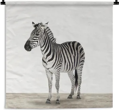 Produktbild von MuchoWow® Wandteppich Wandbehang Zebra - Mädchen - Tiere - Kinder - Jungen 90x90 cm Tapisserie Dekoration Wandtuch - Wandaufhänger