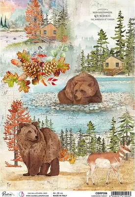 Immagine prodotto di Carta di riso per decoupage A4 - Ciao Bella - Harwood Forest