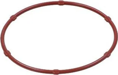Immagine prodotto di Guarnizione Pompa Olio Opel Astra 1.7Cdti 04-