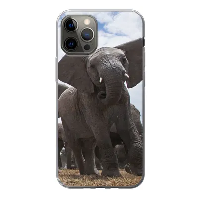 Produktbild von MuchoWow® Handyhülle Schutzhülle Hülle für iPhone 12 Pro Elefant - Tiere - Natur - Flachland Silikon Softcase Handy Hülle - Abdeckung