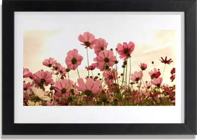 Produktbild von Bild 30x20 MDF-Rahmen Wandkunst Blumen Wildblumen Wiese Natur