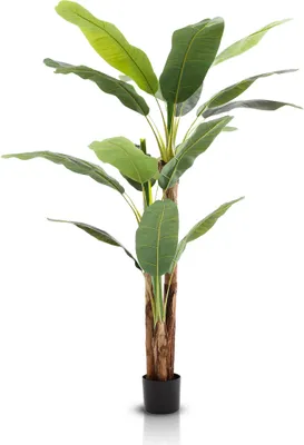 Produktbild von Meisterhome Strelitzia Kunstpflanze 180 cm – Große Tropische Paradiesvogelpflanze – Realistische Kunstpflanze für Innenräume – Pflegeleicht