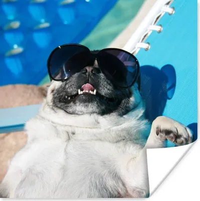 Produktbild von MuchoWow® Poster Hund - Lustig - Sonnenbrille - Kinder - Jungen - Mädchen - Kind 75x75 cm - Wand Dekoration
