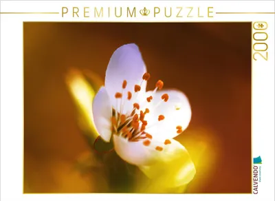 Produktbild von CALVENDO Puzzle Obstblüte 2000 Teile Puzzle quer | 2000 Teile Lege-Größe 90x67cm Foto-Puzzle für glückliche Stunden