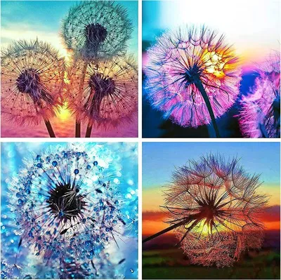 Produktbild von DIY 5D Diamantmalerei Flammenschädel, 4 x 5D-Diamantmalerei-Löwenzahn-Muster