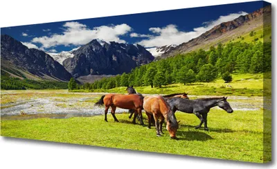 Produktbild von Tulup Leinwand-Bilder 125x50 Wandbild Canvas Kunstdruck Gebirge Bäume Pferde Tiere
