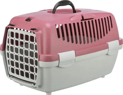 Produktbild von Transportbox Capri 1, XS: 32 × 31 × 48 cm, hellgrau/altrosa
