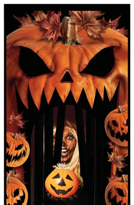 Pumpenvorhang Halloween-Dekoration 145x240 cm Orange-Schwarz