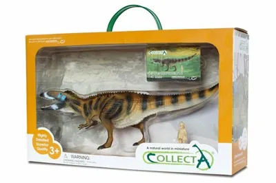 Immagine prodotto di Set regalo COLLECTA - Preistoria