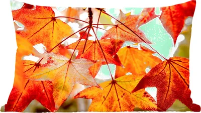 Produktbild von MuchoWow® Zierkissen Sofakissen Wohnzimmer Dekokissen 60x40 cm Herbstzweige - Blätter - Jahreszeiten - Landleben - Kopfkissen - Polster mit Foto
