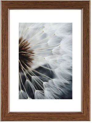 Produktbild von Kunststoffrahmen Breeze nuss 30x40cm, hama