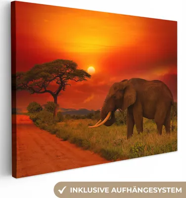Produktbild von MuchoWow® - Leinwandbilder - Elefant - Sonnenuntergang - Orange - Savanne - Tiere, Wandbild, Wanddeko Bilder Wohnzimmer, 80x60 cm