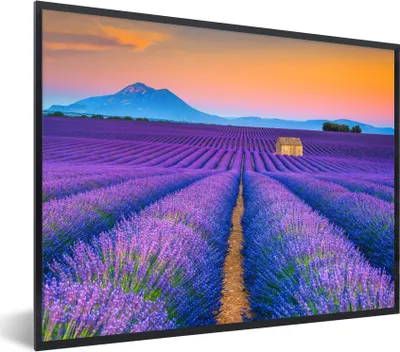 Produktbild von MuchoWow® Gerahmtes Poster Lavendel - Lila - Blumen 80x60 cm - Poster mit Schwarzem Bilderrahmen Wandposter Rahmen Foto Bilder - Schwarzem - Mit Gestell