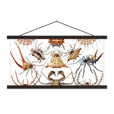 Produktbild von MuchoWow® Textilposter Retro - Spinne - Ernst Haeckel - Spinnen 90x45 cm mit schwarzem Rahmen - Klemmleisten