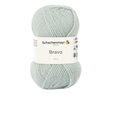 Image de Schachenmayr Bravo, 50 g de fil à tricoter Mint