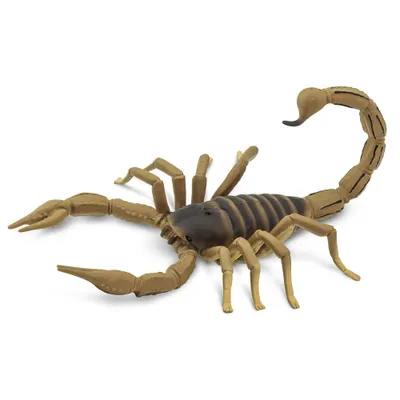 Produktbild von Safari Ltd Scorpion Brown One Size