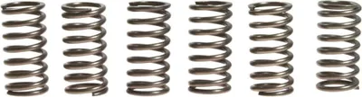 Immagine prodotto di Kit 6 molle frizione EBC CSK084 per Ktm