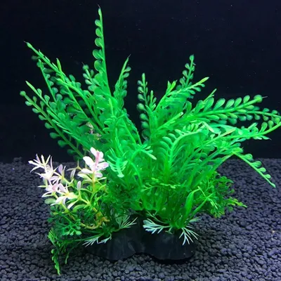 Aquarien-Deko, Hauptbild