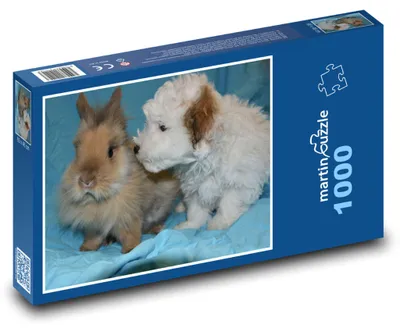 Obrázek produktu pro martinpuzzle - Puzzle 1000 - Zakrslý králík a pes