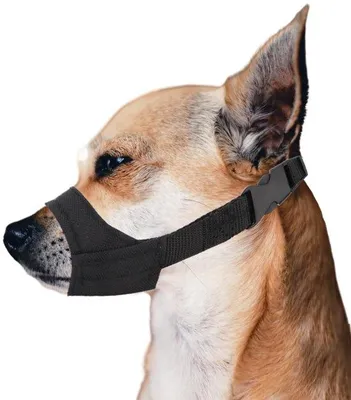 Productafbeelding van Kleine hondenbeschermer - Beschermt tegen bijten en vermindert geluid - Zwart - Geschikt voor Chihuahua's en Shih Tzu's