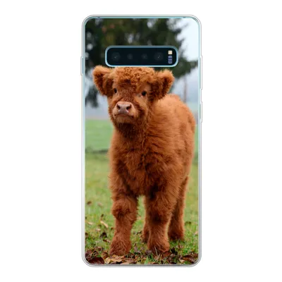 Produktbild von MuchoWow® Handyhülle Schutzhülle Hülle für Samsung Galaxy S10 Lite Scottish Highlander - Kalb - Gras Silikon Softcase Handy Hülle - Schutz