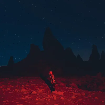 Image de Pheobe Bridgers - Punisher (LP)