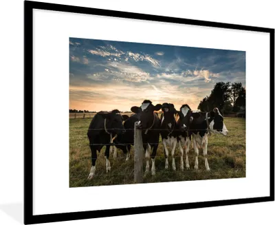 Produktbild von MuchoWow® Gerahmtes Poster Tiere - Kuh 90x60 cm - Poster mit Schwarzem Bilderrahmen Wandposter Rahmen Foto Bilder - Wanddekoration - Fotos