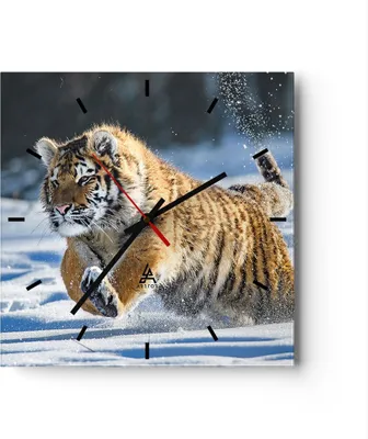 Produktbild von Wanduhr - Quadrat - Glasuhr - tiger tier - 40x40cm - Schleichendes Uhrwerk - Lautlos - zum Aufhängen bereit - Dekoration Modern - Wanddekoration aus Glas - C3AC40x40-3928