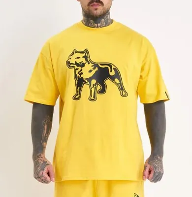 Obrázek produktu pro Pánské tričko Amstaff Logo 2.0 T-Shirt Yellow Black - XL