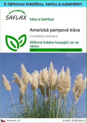 Obrázek produktu pro SAFLAX Dárková sada - Americká pampová tráva - Cortaderia selloana - 200 Semena - S dárkovou krabičkou, přepravním štítkem, dárkovou kartou a pěstebním médiem