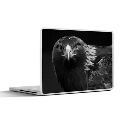 Produktbild von MuchoWow® Laptop Aufkleber Sticker Cover Bussard - Vogel - Tiere - Schwarz - Weiß 25x18 cm - Laptop-Deko