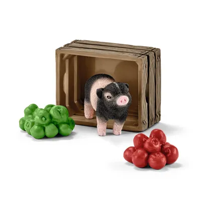 Zdjęcie produktu dla schleich Farm Life 42292, 3 lat(a), Farma, Wielobarwny, Plastik