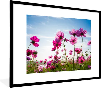 Produktbild von MuchoWow® Gerahmtes Poster Blumen - Rosa - Cosmea 80x60 cm - Poster mit Schwarzem Bilderrahmen Wandposter Rahmen Foto Bilder - Schlafzimmer-Dekorationen - Fotoposter