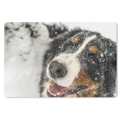Produktbild von MuchoWow® Schreibtischunterlage Ein Berner Sennenhund unter dem Schnee 60x40 cm - XXL Mauspad - Großes Mauspad