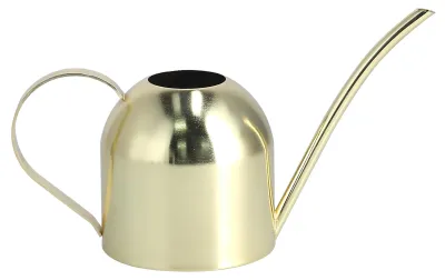 Produktbild von 1000ML Gießkanne Indoor Vintage Edelstahl Sukkulenten Blumen Pflanzen Wasserkocher Topf Gold