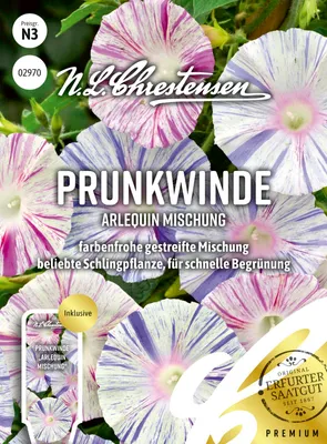Artikelbild 1 von 'Prunkwinde Arlequin Mischung' aus der Kategorie Windensamen